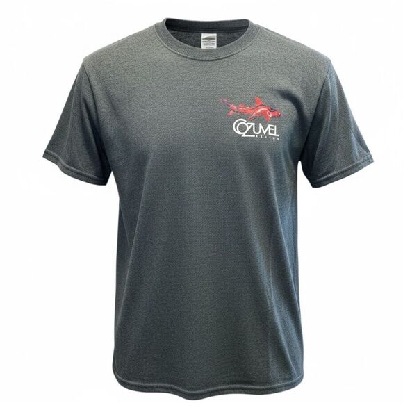 EUC Gildan Unisex Gray Graphic Cozumel T-Shirt - Size Small - Picture 2 of 6